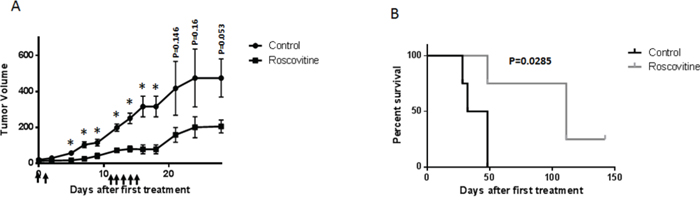 Roscovitine suppresses HPV+ tumor growth in vivo.