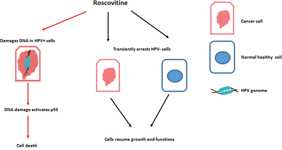 Figure 9: