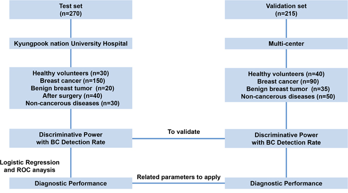 Overview of the study design.