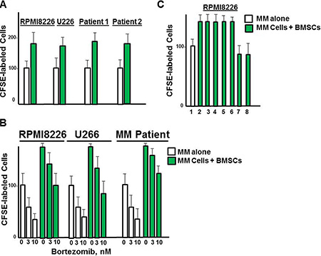 Effect of DT97 on MM cells in the presence of BMSCs.