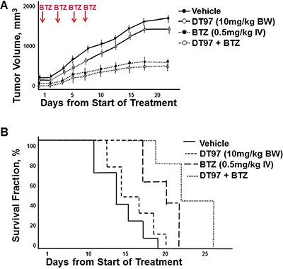 Effect of DT97 and bortezomib on tumor growth and overall survival.