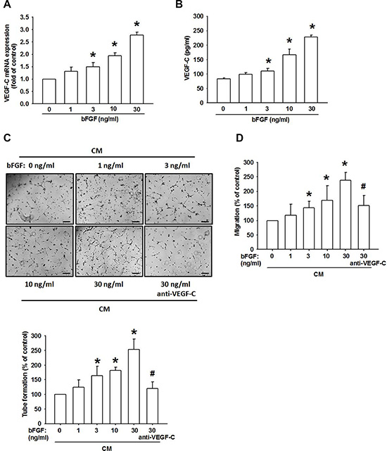 bFGF promotes the lymphangiogenesis through upregulation of VEGF-C in chondrosarcoma cells.