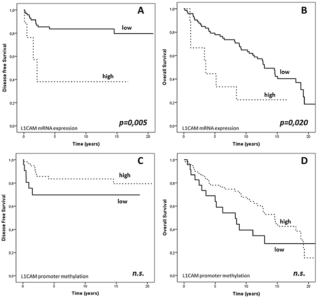 PFS and OS based on L1CAM expression and L1CAM promoter methylation in the endometrial cancer cohort.