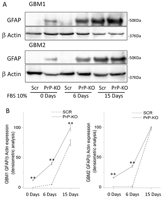 Figure 7: