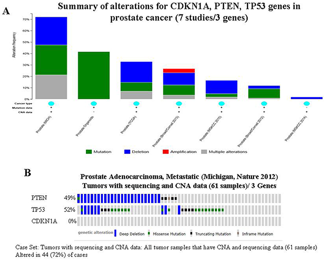 Mining genetic alterations connected with resveratrol-associated genes, PTEN, TP53 and CDKN1A, in prostate cancer studies embedded in cBio cancer genomics portal.