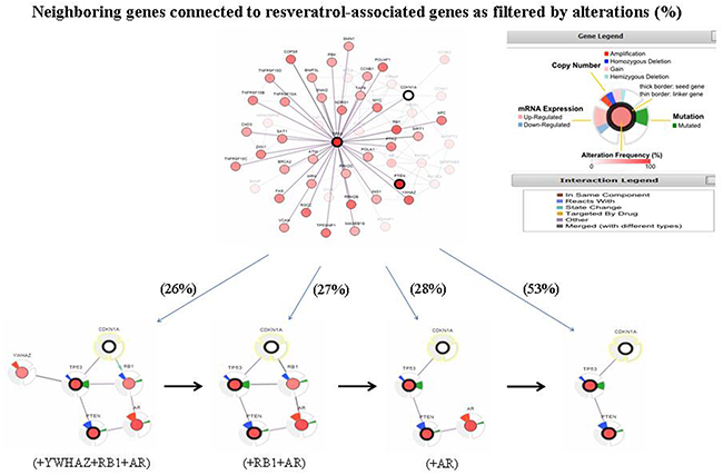 A visual display of the gene network connected to PTEN/TP53/CDKN1A in prostate adenocarcinoma (based on the Michigan study, Nature 2012) [24].