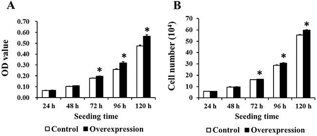EAAT3 overexpression increased IPEC-J2 cell proliferation.