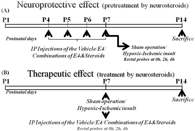 Schematic representation of