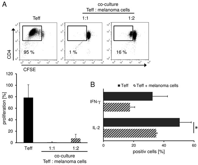 Treg and melanoma share similar inhibitory features.