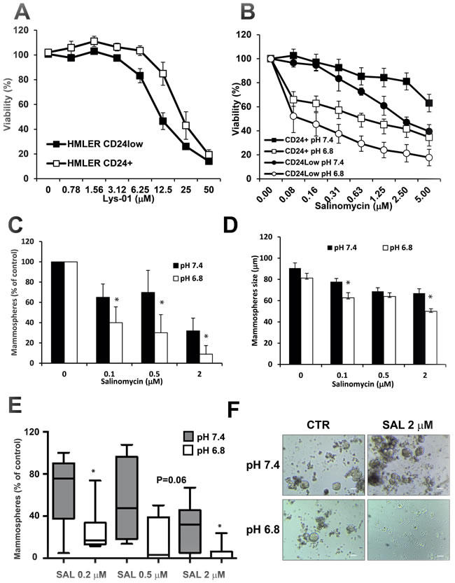 Cytotoxic activity of SAL on breast cancer stem cells.