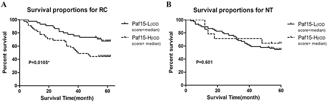 5-year survival in RC patients according to Paf15 expression level.