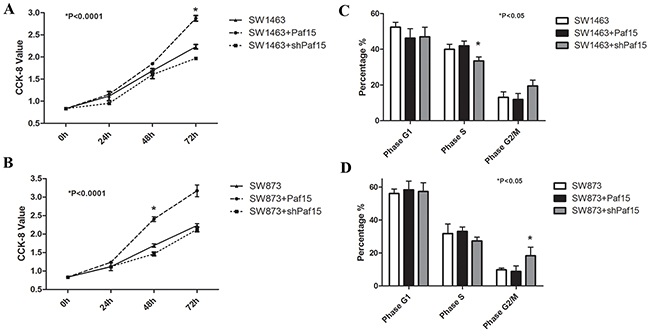 Paf15 expression influences on RC cell viability &#x0026; cell cycle.