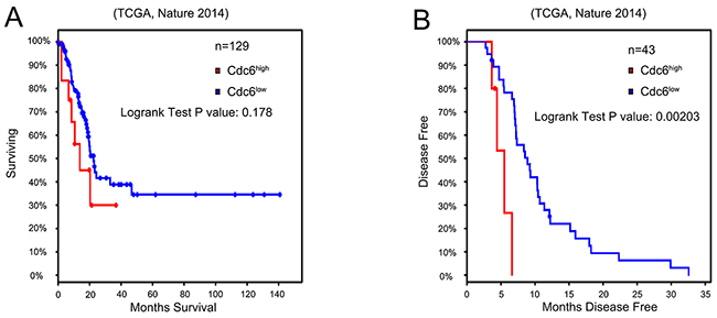 High Cdc6 expression is negatively related with prognosis of bladder urothelial cancer patients.