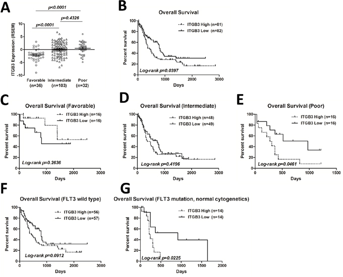 ITGB3 expression and correlation with overall survival (OS) in AML patients.