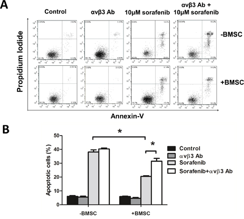 Blocking integrin &#x03B1;v&#x03B2;3 increased leukemia sensitivity to sorafenib in BMSCs.