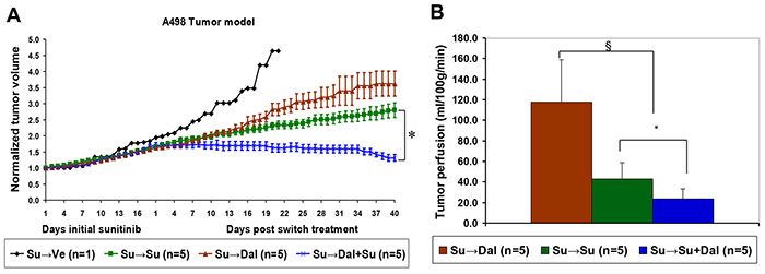 Combination of dalantercept with sunitinib slows tumor growth and further reduces tumor blood flow in sunitinib resistant tumors.