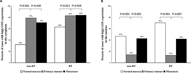 The frequency of high cytoplasmic and nuclear expression of LOX protein.