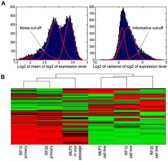 Unsupervised heat map of transcriptomics analysis, showing clustering of the primary and in vivo passaged samples and the AML cell lines.