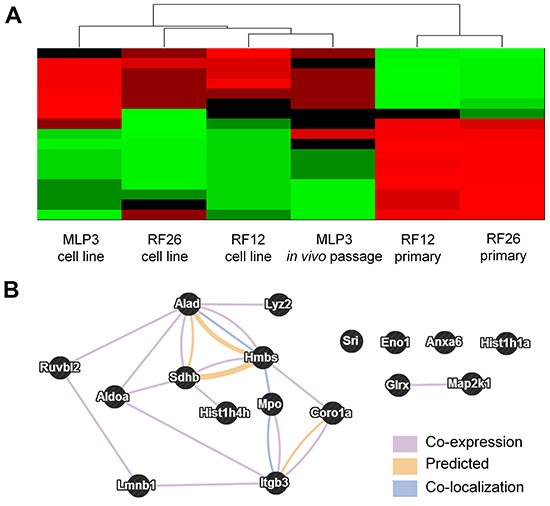 Multiomics analysis of combined transcriptome and proteome data.