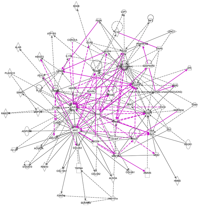 Merged ingenuity pathways for (i) cellular function and maintenance, cell death and survival, cellular compromise and (ii) connective tissue disorders, inflammatory disease, skeletal and muscular disorders.