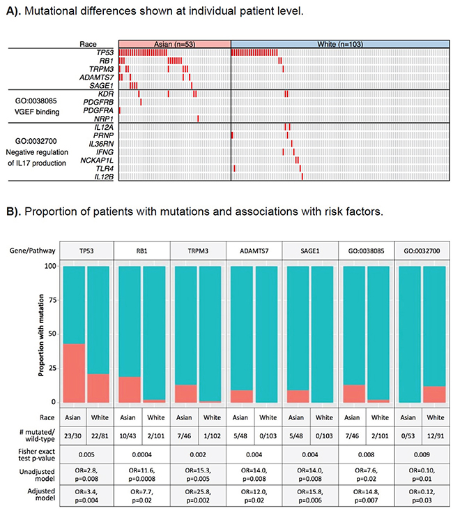 Differentially mutated genes and pathways between hepatocellular carcinoma (HCC) patients of Asian and European ancestry.