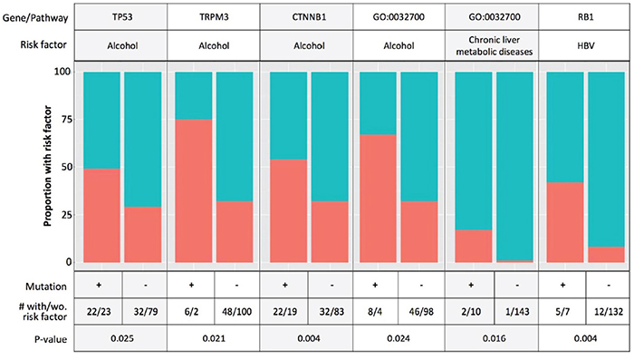 Associations of known hepatocellular carcinoma (HCC) risk factors with mutated genes and pathways.