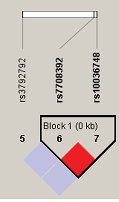 Haplotype block map for part of the SNPs in TNIP1 gene.