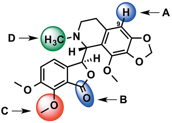 Structural modification of noscapine.