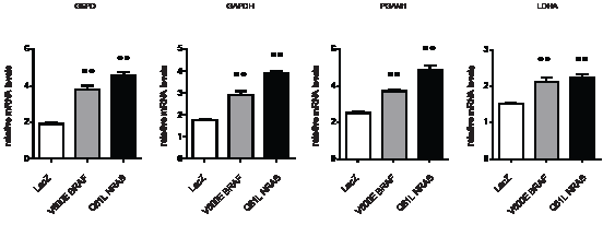 Ectopic expression of