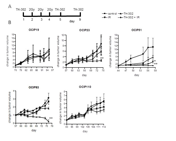 TH-302 treatment reduces tumor weight and growth rate in fast-growing hypoxic xenografts.