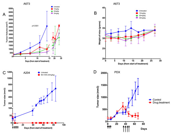 BO-1055 inhibits Ewing sarcoma tumor growth in NSG mice and and causes complete regression of rhabdoid tumor growth in nude mice.