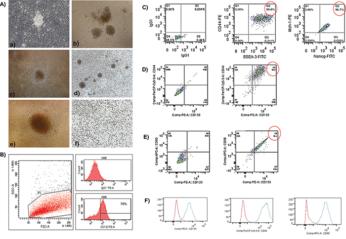 Figure 1: