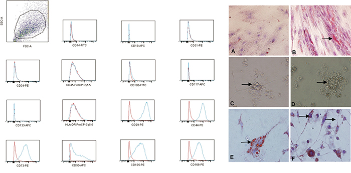 The increased expression of the mesenchymal markers (CD29, CD44, CD73, CD90, CD105 and CD166) and low or no expression of the MHC class I antigens, HLA-DR and the hematopoietic/vascular cells markers (CD14, CD31, CD34, CD45 and CD106) on the CD133+ glioblastoma cells; red: isotype control; blue: stained sample.
