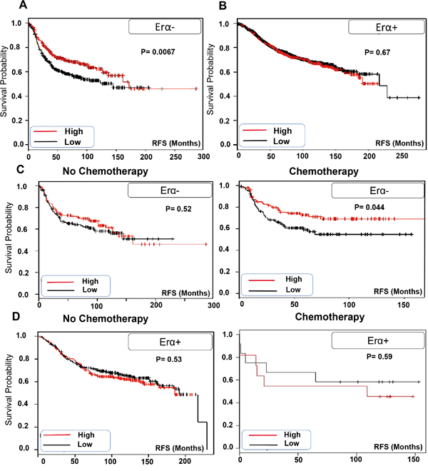 TRPV2 expression is correlated with better prognosis of ER&#x03B1;- patients especially those who receive chemotherapy.