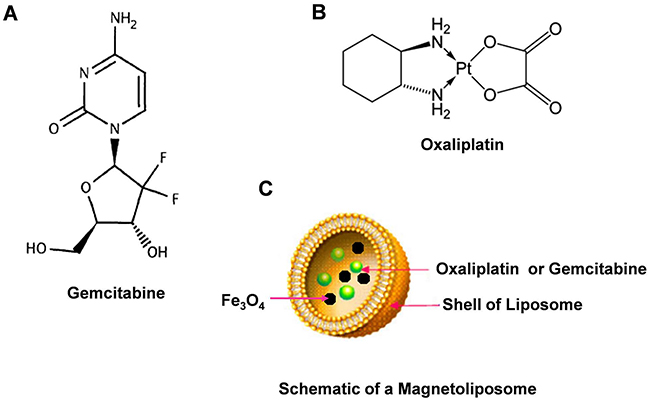 Chemical structures of Gemcitabine, Oxaliplatin and schematic of magnetoliposome.