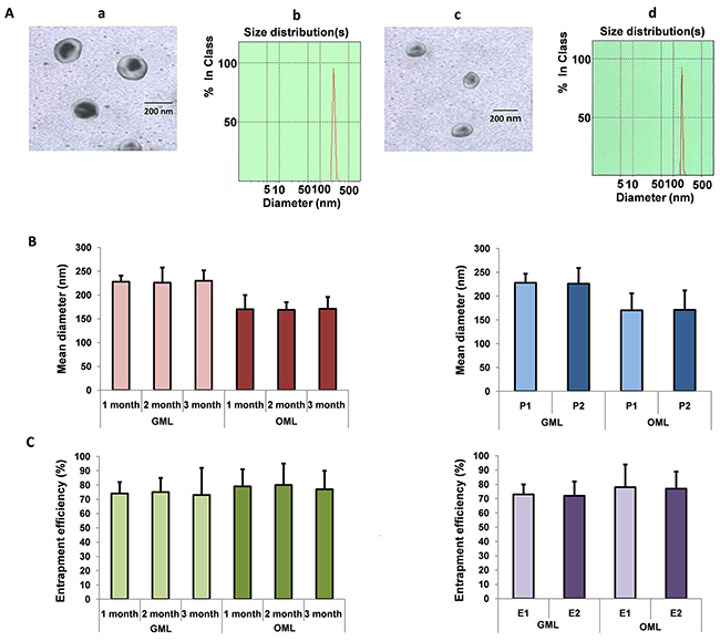 Preparation and characterization of GML and OML.