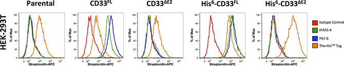 Phenotyping of engineered HEK293T cells with CD33 antibodies.
