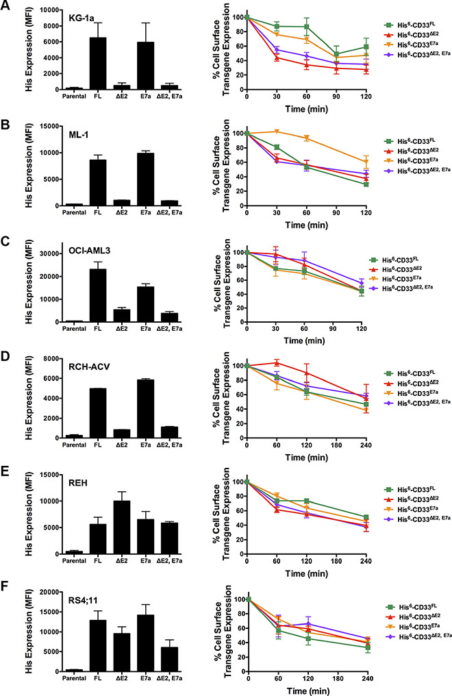 Internalization of CD33 splice variants in engineered acute leukemia cell lines.