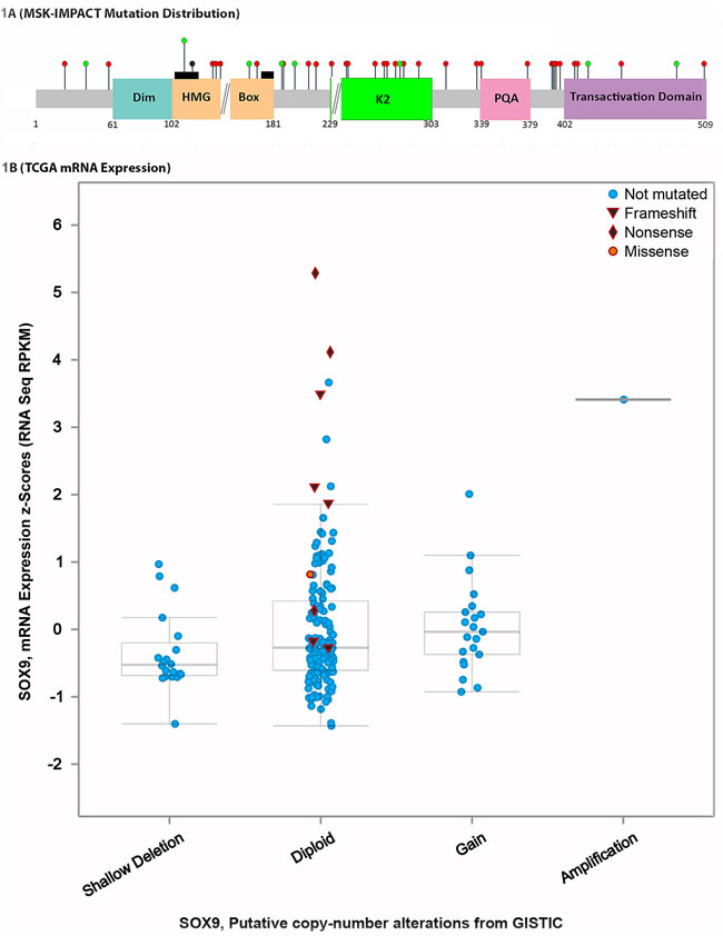 Figure 1: