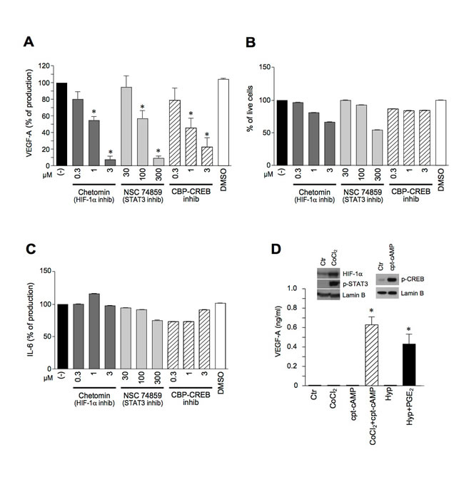 The pro-inflammatory secretion of VEGF-A requires the concomitant activation of HIF-1&#x3b1;, STAT3 and CREB.