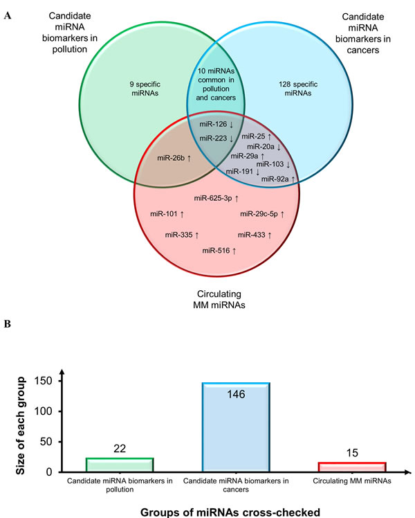 Assessment of diagnostic potential and specificity of circulating MM-miRNAs.