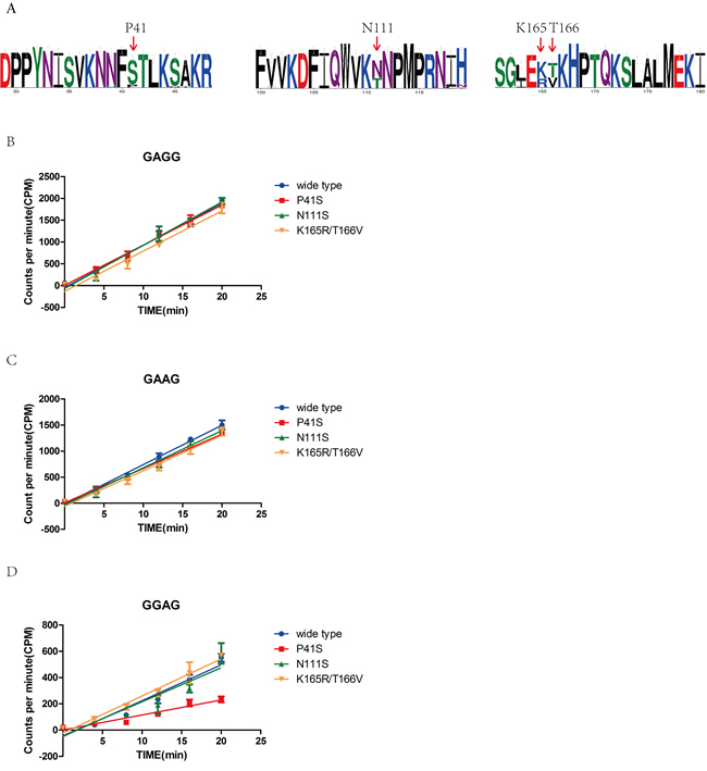 Sequence alignment, structural analysis and radioactive methyl transfer activity define the key residue for wider substrate specificity of M1.HpyAVI.