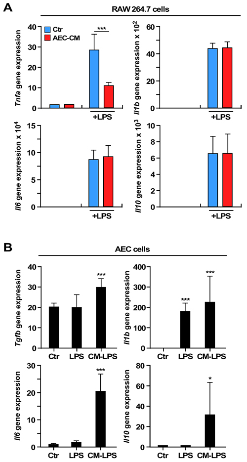 Expression of interleukins and cytokines mRNAs in RAW 264.7 and AEC cells.