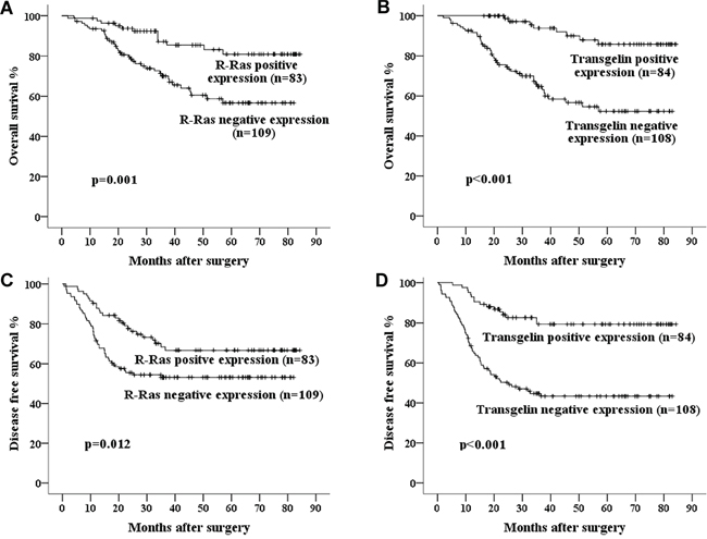 Kaplan&#x2013;Meier curves of 5-year OS and DFS in patients with