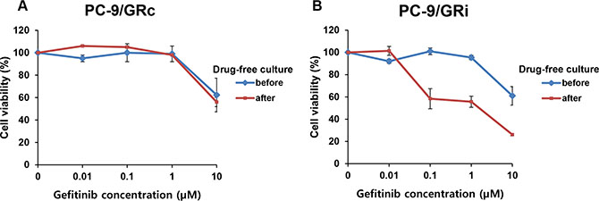 Long-term stability of gefitinib resistance in two cell lines established with continuous or intermittent exposure to gefitinib.