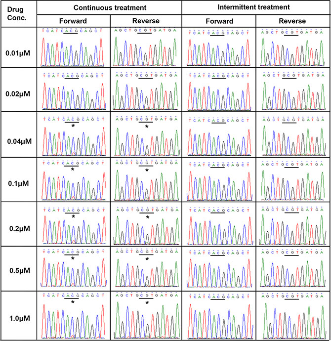 Direct sequencing chromatograms of EGFR exon 20 revealed the presence of T790M (*ACG&#x2192;ATG) in PC9/GRc cells at gefitinib concentrations ranging from 0.04 &#x03BC;M to 1.0 &#x03BC;M, but not in PC9/GRi cells.