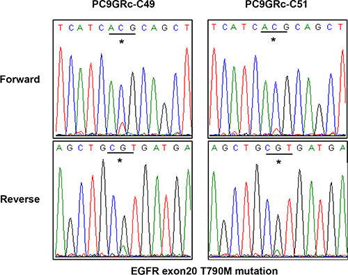Direct sequencing chromatograms of EGFR exon 20 showed a difference in the peak at the site of the T790M mutation between two different single-cell clones derived from PC9/GRc cells.