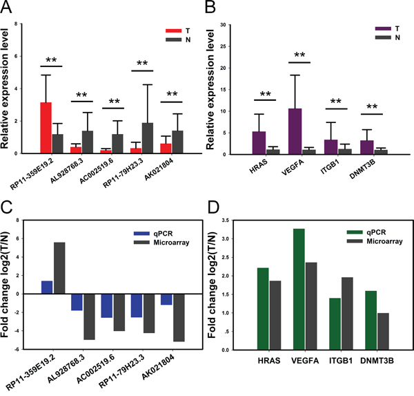 Validation for the expression of significant transcripts by quantitative RT-PCR.