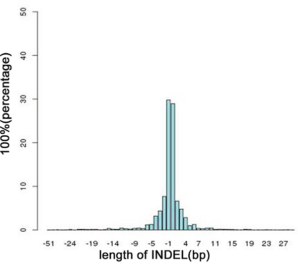 Distribution of the lengths of all INDELs in the on-target regions.