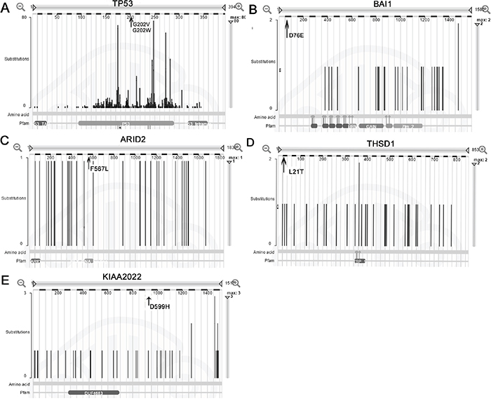 Mutation distribution of the five genes in the COSMIC database.